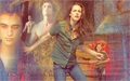 The Twilight saga :new moon 