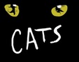 Memory - Cats