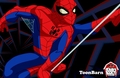 The Spectacular Spider-Man 
