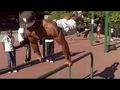 Street Fitness