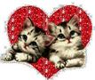 Justin_Bieber♪♫★♫♪♥♫◦♪♫