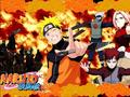 Naruto Shippuuden Collection