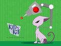 kit vs kat 