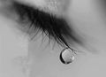 nazli_
