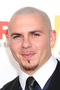 pitbull