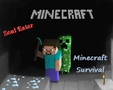 Minecraft Survival