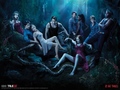 Истинска кръв[True Blood]