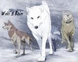 wolf's rain