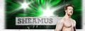 Sheamus Celtic warrior