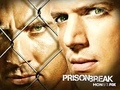 prison break 