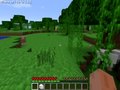 Minecraft Survival 