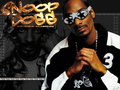  Snoop Dogg (Lion)