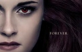 ❝Twilight❞
