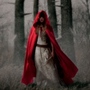 Red Riding Hood 2011