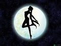 Sailor Moon - 2 сезон - анимация