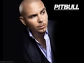 PITBULL