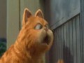 Garfield [ 2004-2006 ]