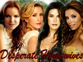 ❝Desperate Housewives❞