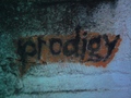 #P®odigy™