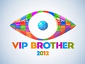 Vip Brother 2012