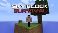 Minecraft Skyblock 