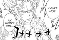 Fairy Tail - Manga