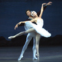 SwanLake