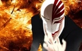 Bleach 
