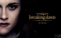 Breaking Dawn