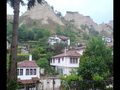 МЕЛНИК