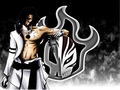 Bleach 