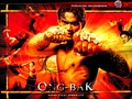 [Thai-Movie] Ong Bak (2003)