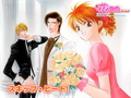 Skip Beat BG sub