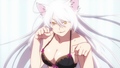 Nekomonogatari
