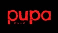 Pupa BG sub