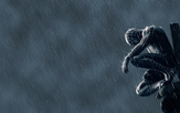 Spider-man (2007)