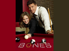 Кости сезон 10 (Bones season 10)
