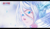bleach