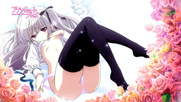 Absolute Duo