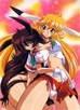 Usagi-chan De Cue!!