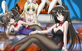 Seitokai no Ichizon