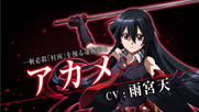 Akame ga Kill [BG]