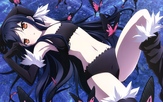 Accel World + Ovas & Specials / BG /