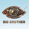 Big Brother: 100% натурален (2015)