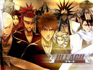 Bleach Bg Sub