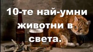 ПРИРОДА
