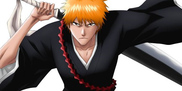 The Best of Bleach Anime   