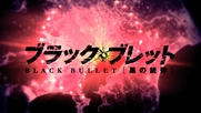 Black Bullet BG