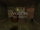 volgiN