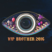 VIP Brother: Играта загрубява! (2016)